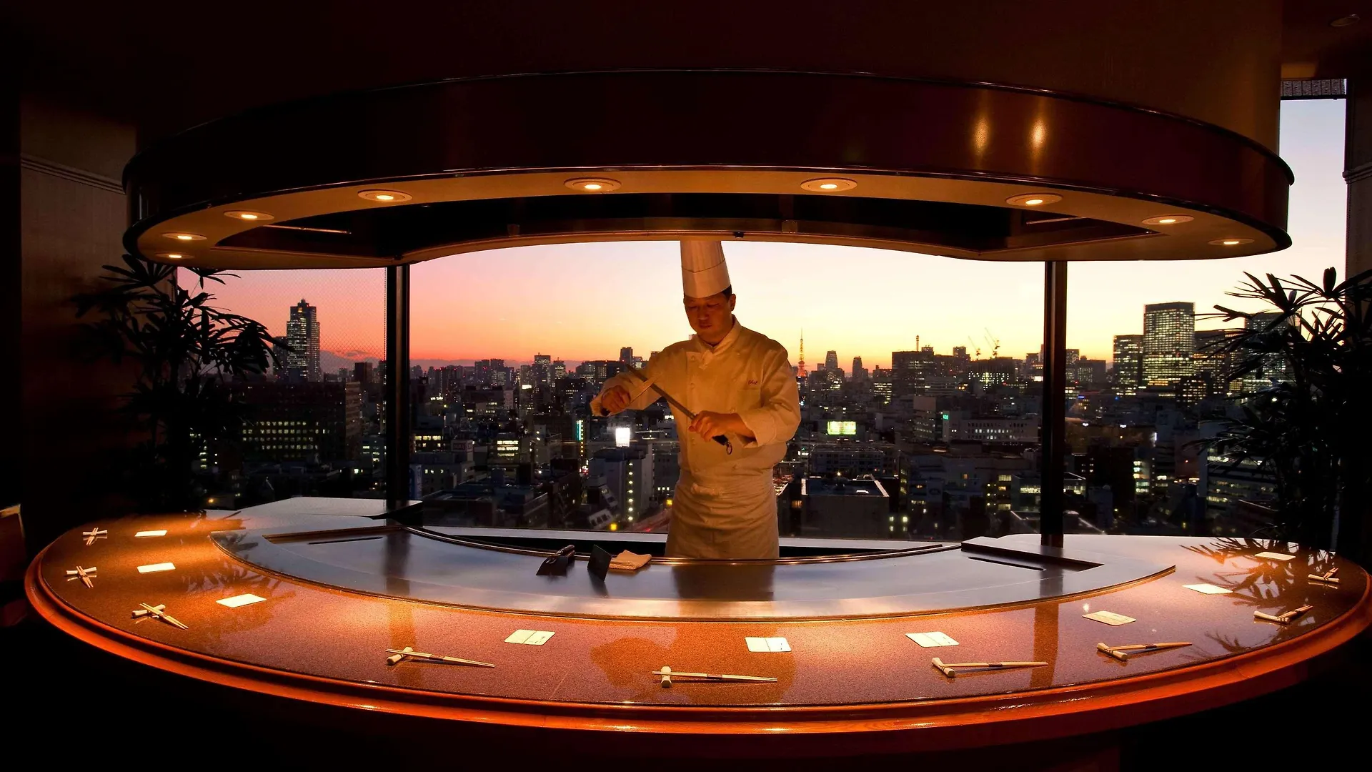 *****  Royal Park Hotel Tokio Japan